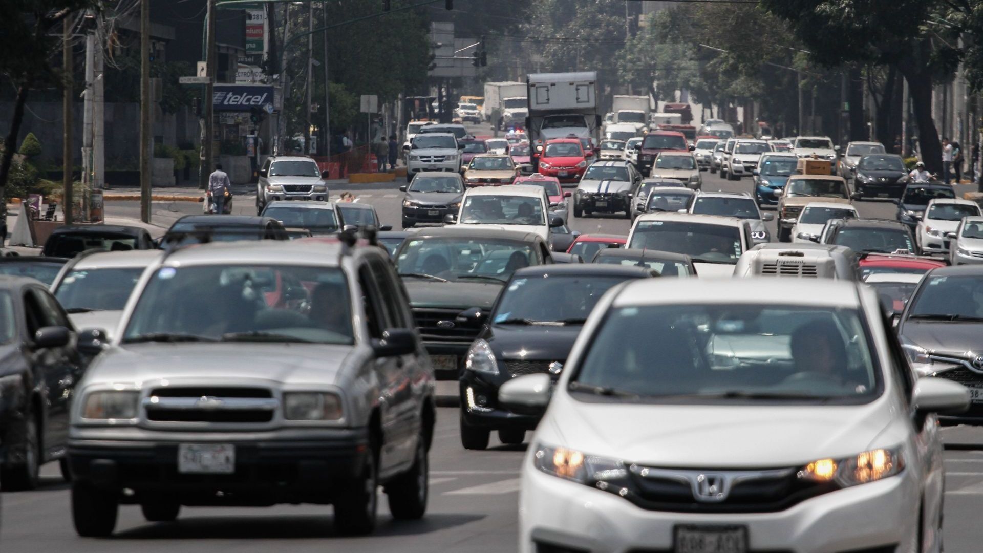 Coches que sí circulan 24 de febrero 2026, según CAMe