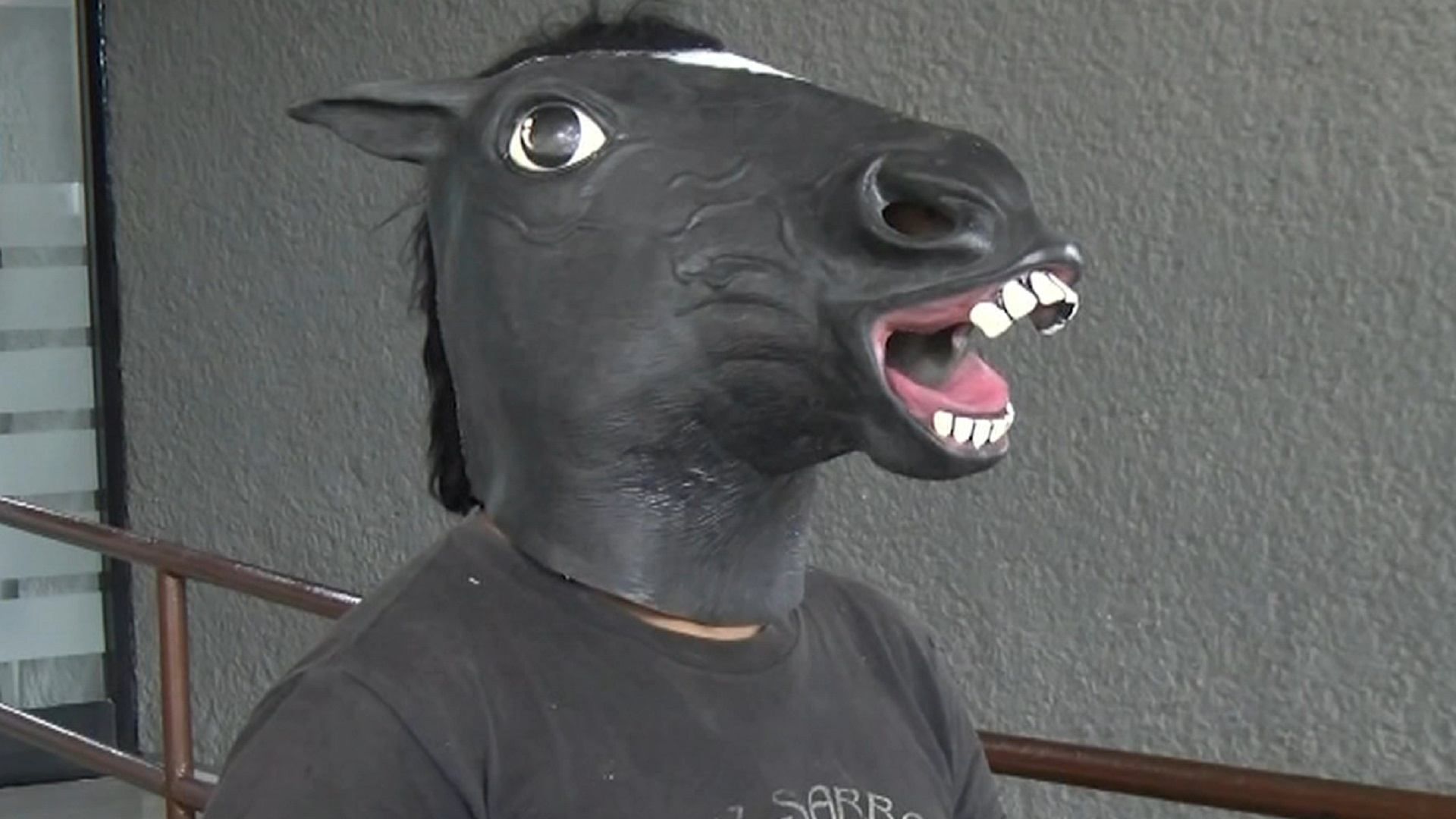 Luis, un joven que desde los 8 años actúa y siente que es un equino