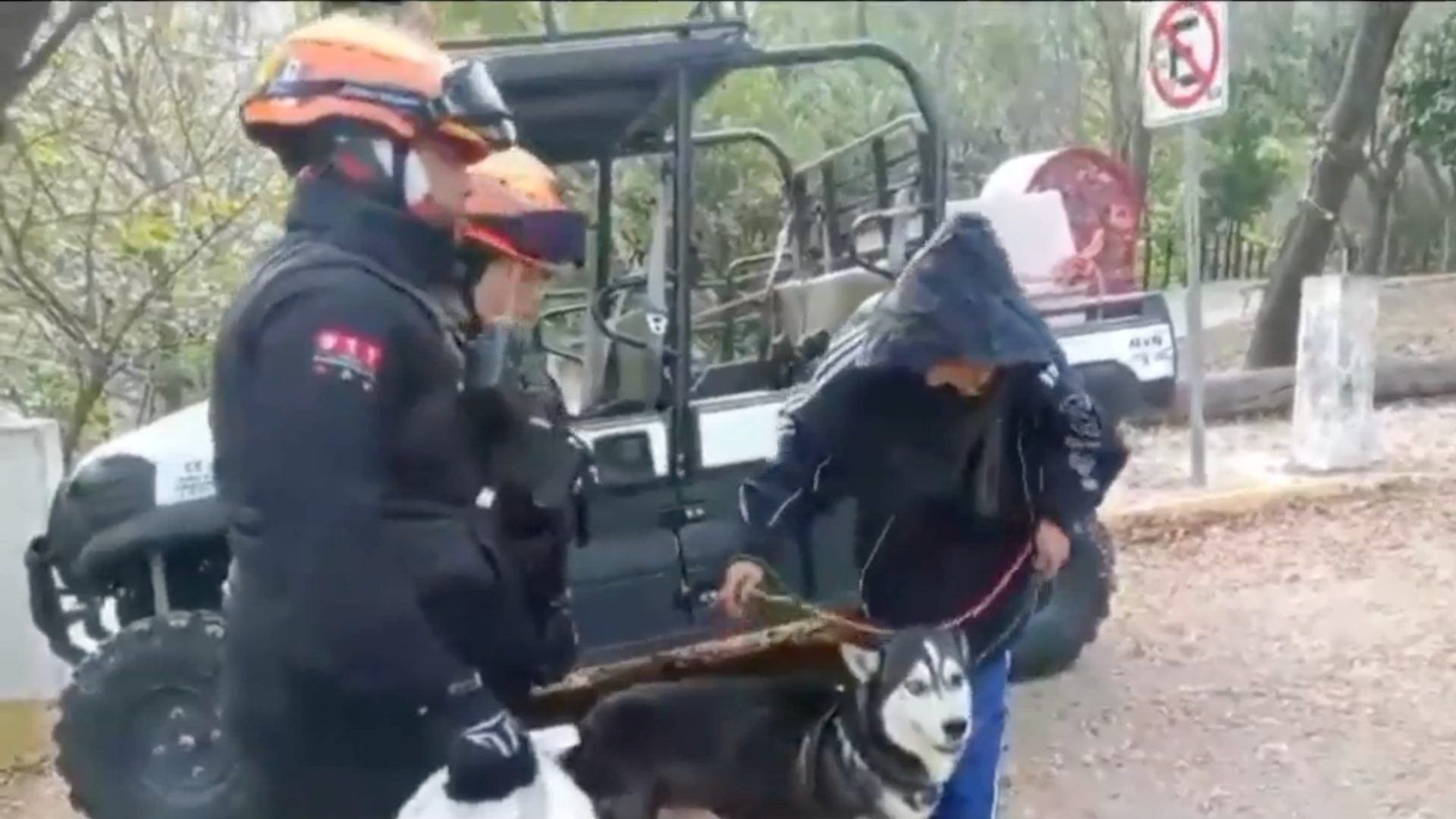 Los rescatistas apoyaron con el descenso de la montaña; y brindaron atención médica al perro.