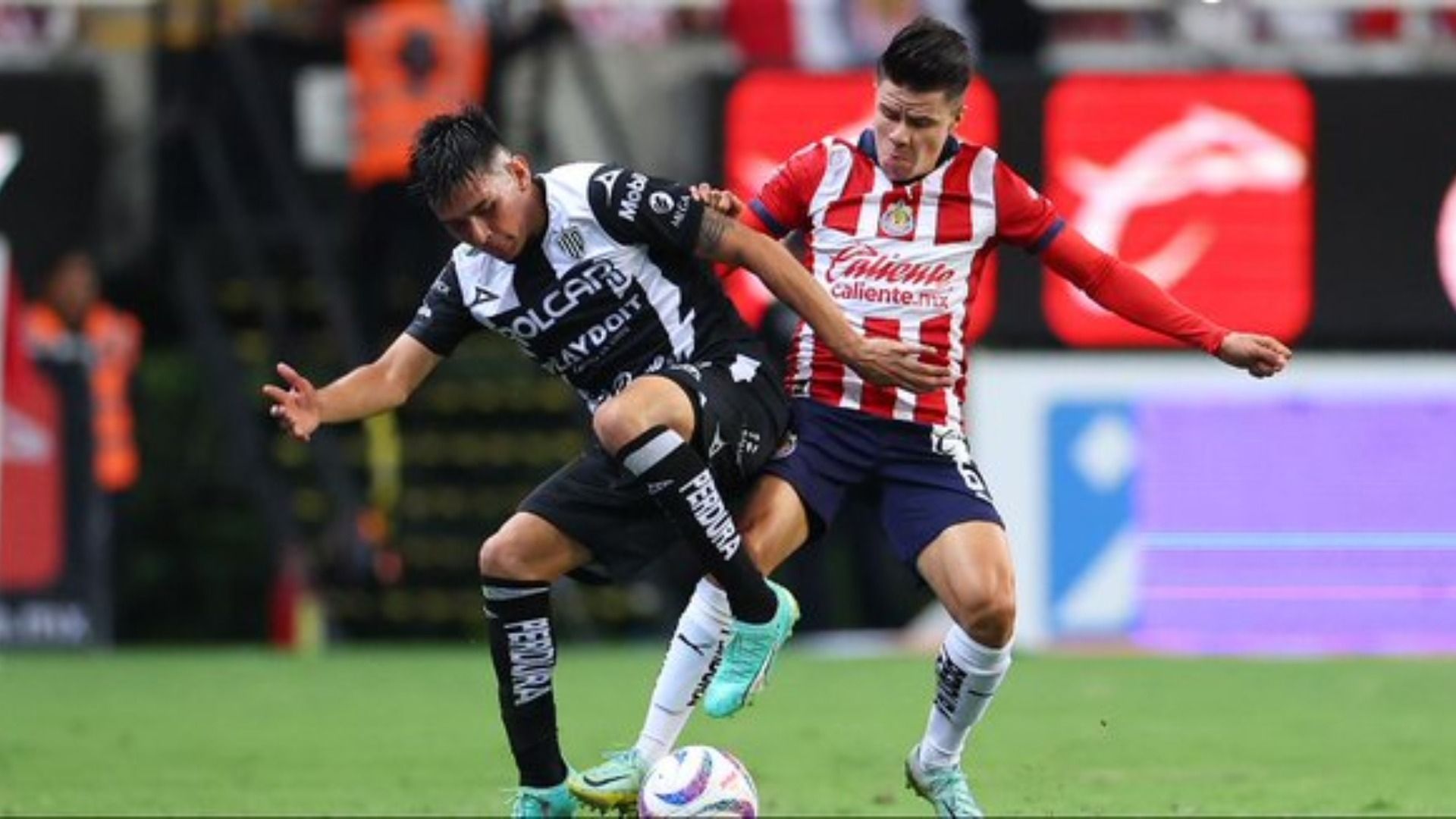 El torneo pasado Chivas se impuso 2-0 al Necaxa. Foto: Chivas