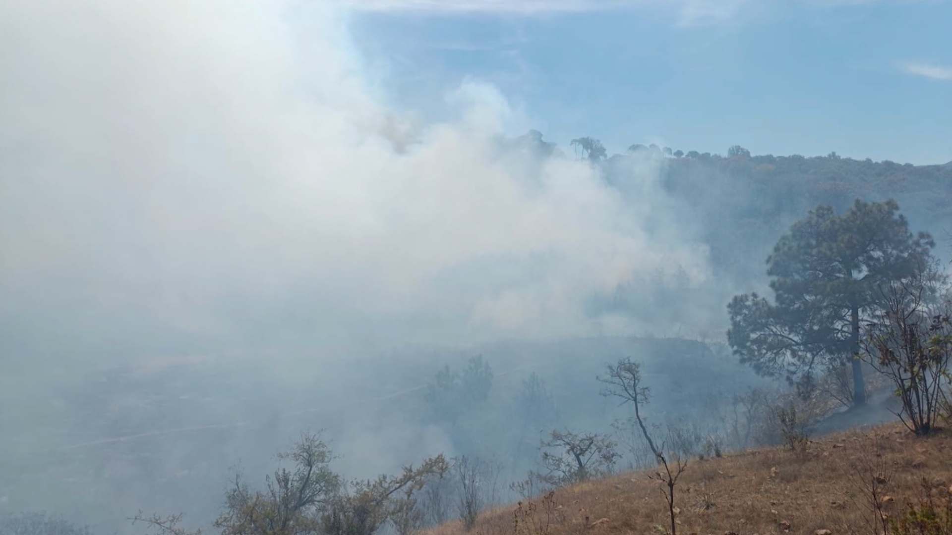 Incendio en el Ejido del Bosque La Primavera, Movilizó a Elementos de las Distintas Corporaciones de Jalisco