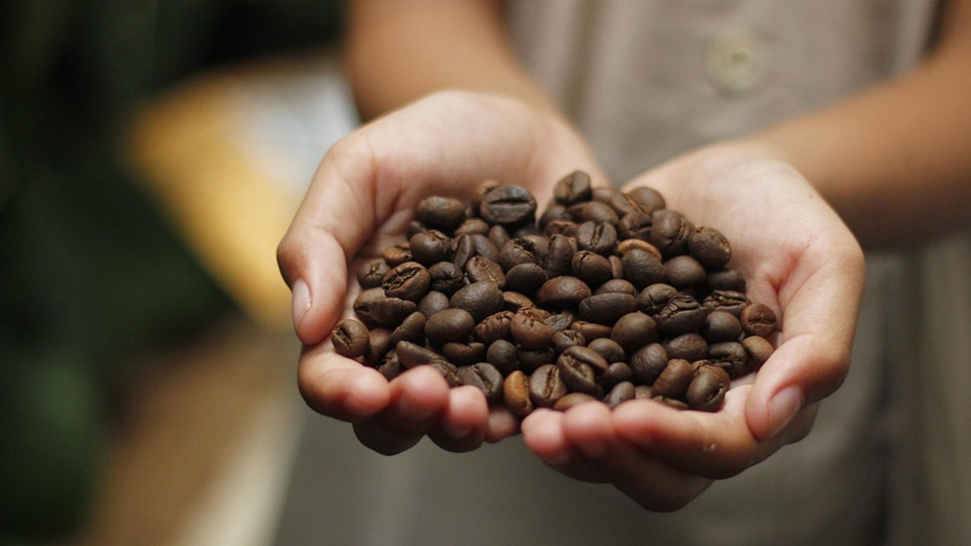 Los productores de café en distintos estados de México están sufriendo las consecuencias de las sequías y temporadas de calor