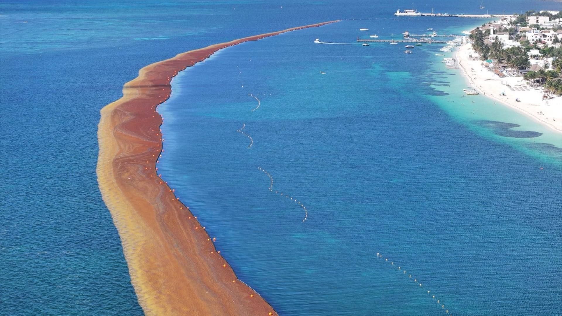 Contención de sargazo en el Caribe de México