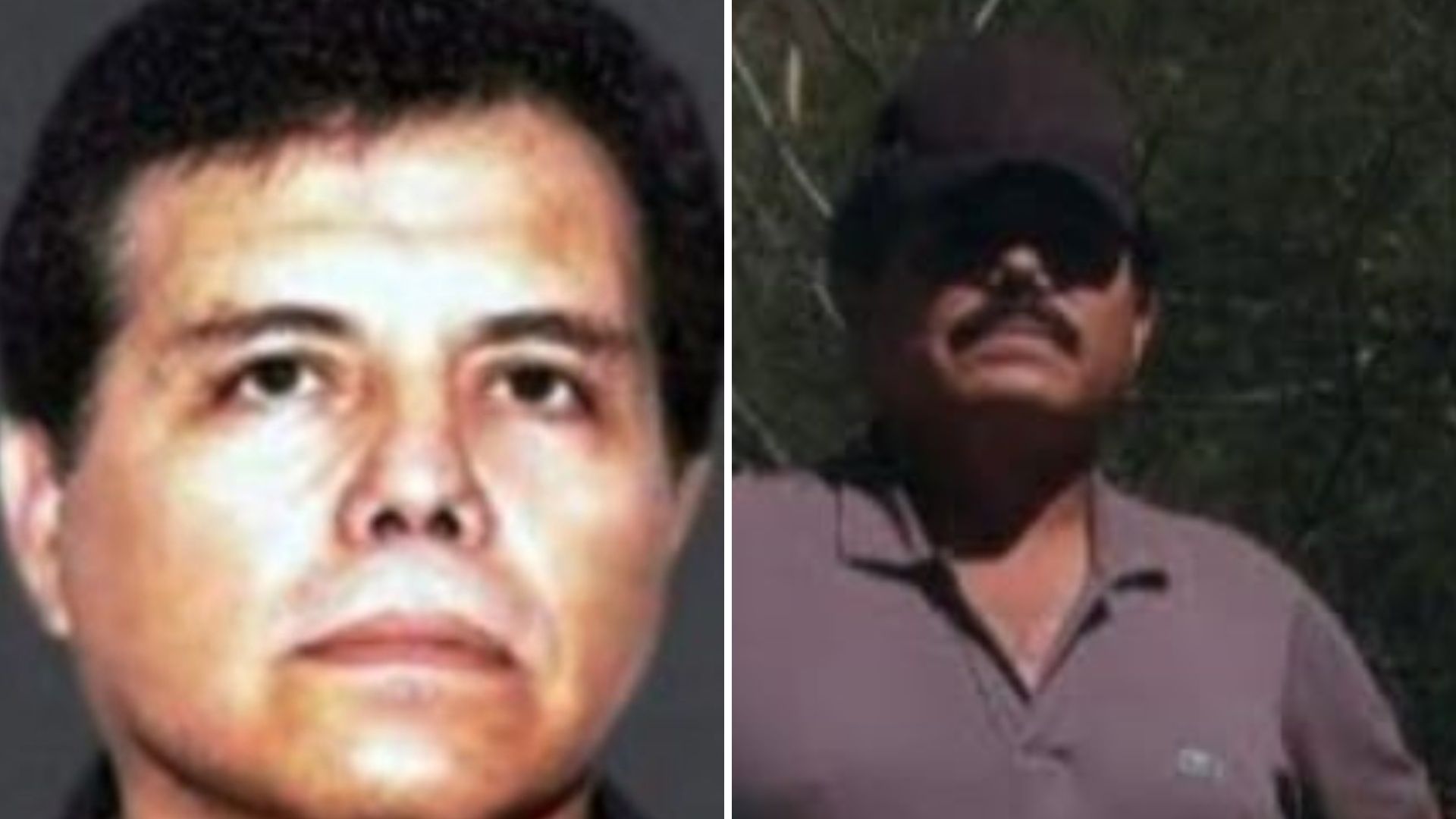 Recompensa Mayo Zambada Estados Unidos. Cuánto Dinero Ofrecía DEA
