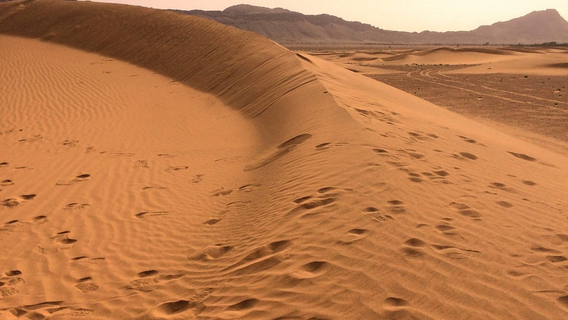 Desierto del Sáhara