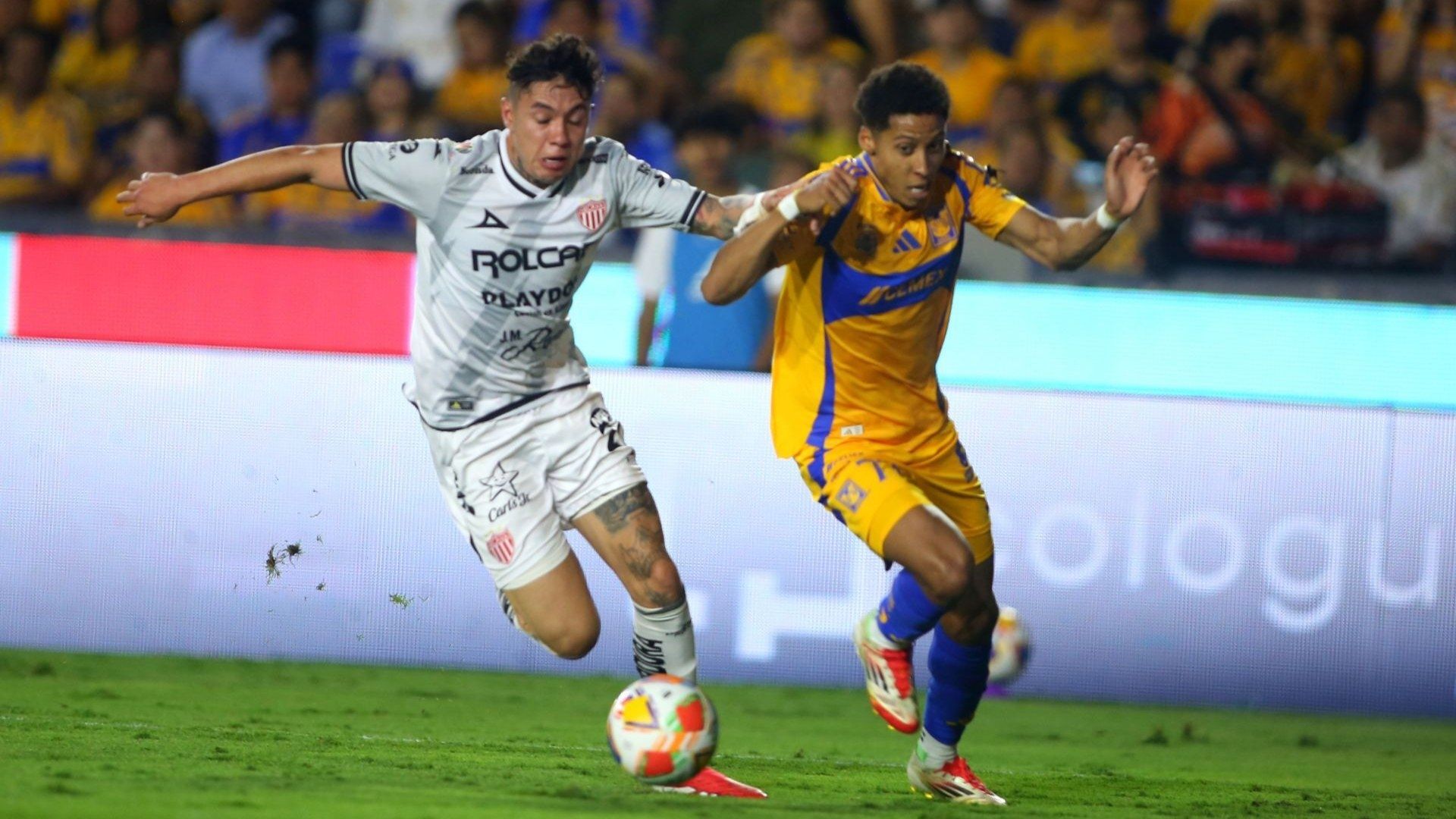 Necaxa no puede darse el lujo de perder ante Tigres, en la fecha 13 de la Liga MX 2025.