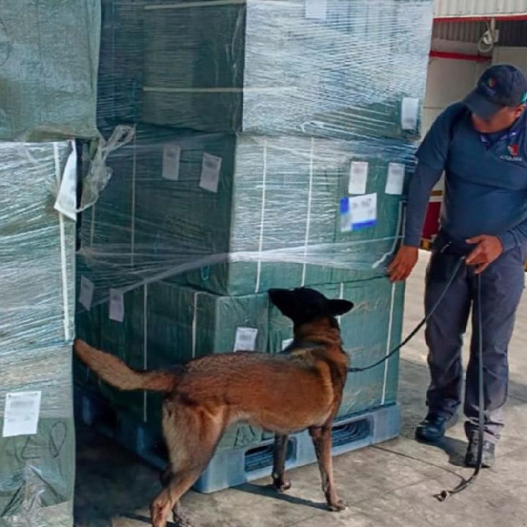 Aseguramiento de tabaco ilegal en e AICM