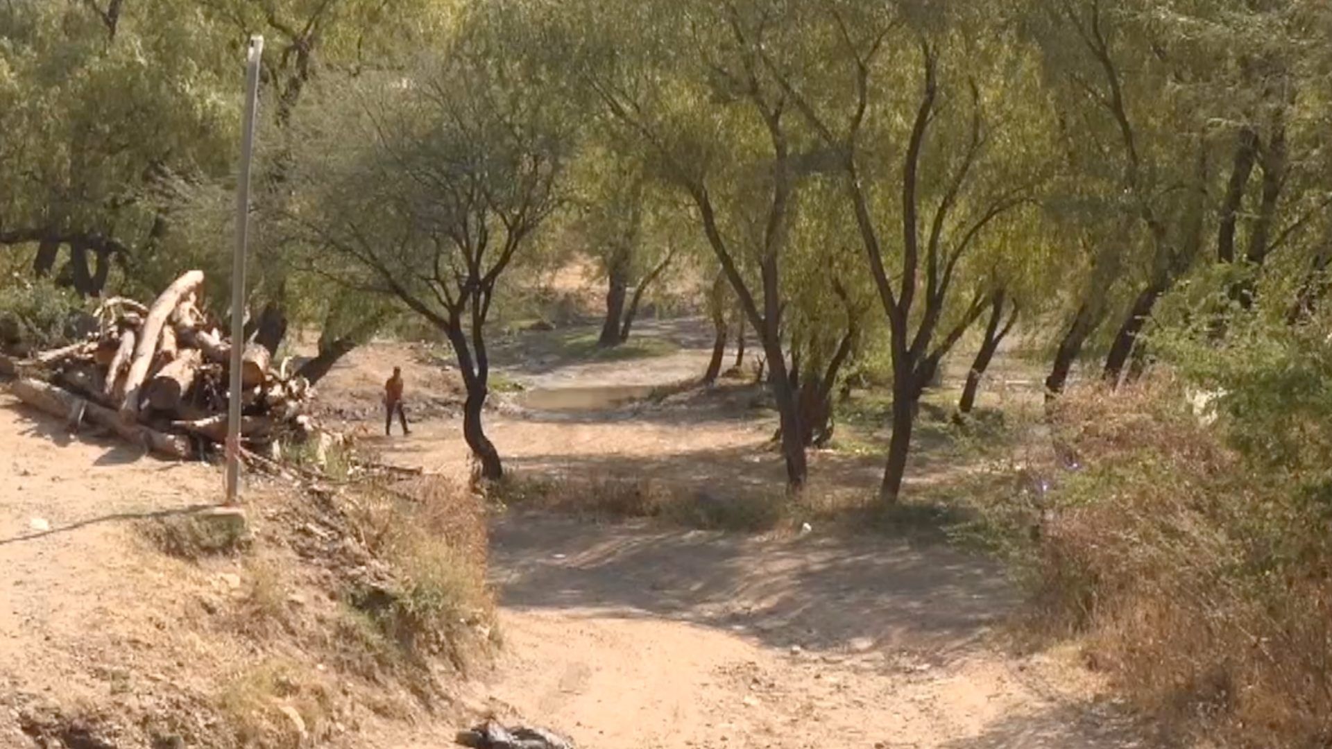 Hombre Sin Vida es Encontrado con Signos de Violencia en un Camino de Terracería en Pénjamo. Foto: N+