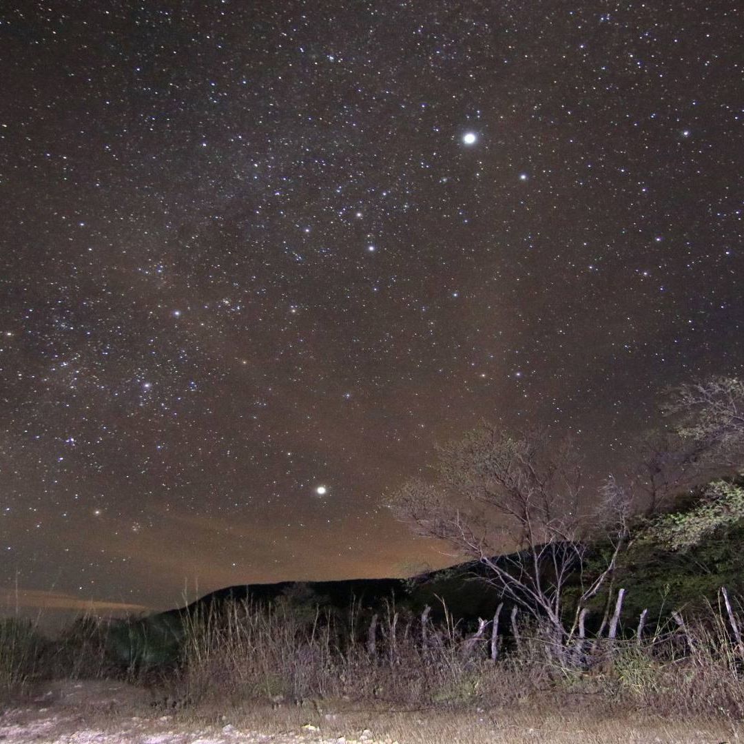 Se pude observar cientos de estrellas que iluminan el cielo.