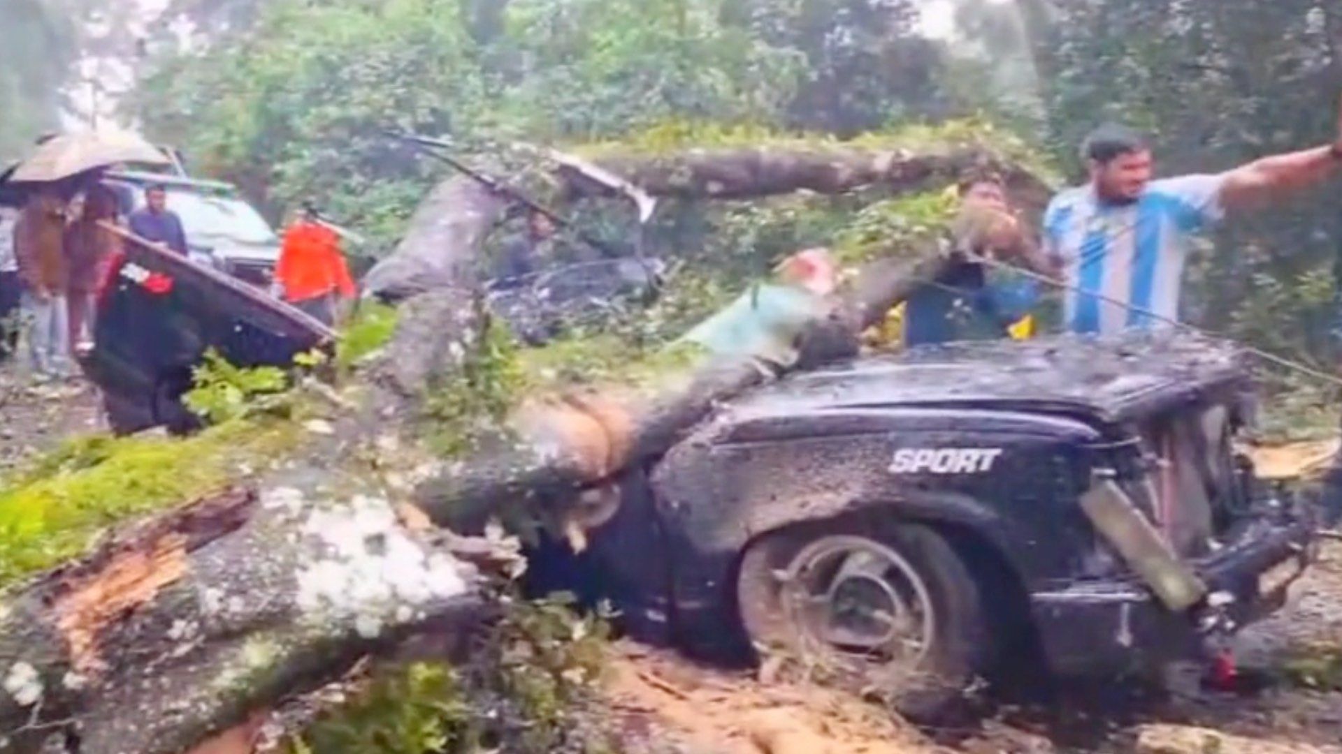 Árbol Aplasta Camioneta y Deja Dos Muertos en Bosque Los Duendes