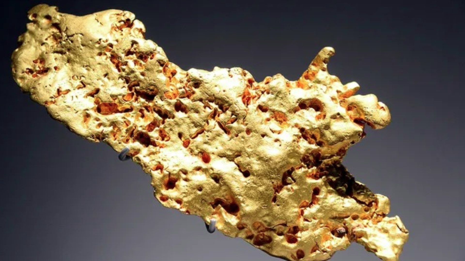 Detienen a Mujer China por Robar 6 Kilos de Oro en Museo de Historia Natural de París