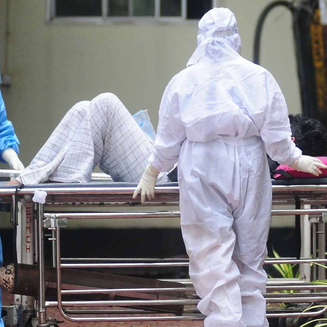 Virus Nipah: Lista de Países con Brotes Hoy, Sábado 31 de Enero 2026. Foto: AFP