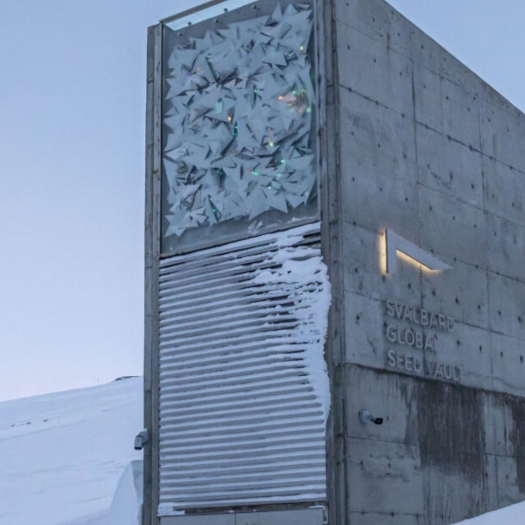 Otorgan Premio Princesa de Asturias a Bóveda Global de Semillas de Svalbard.