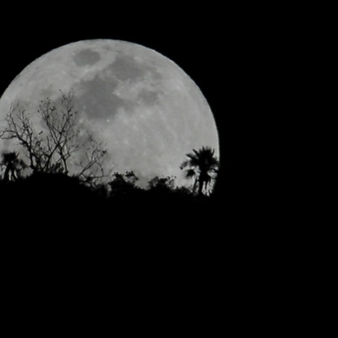Luna Llena 2026. Cuándo Es la Luna Azul de Mayo