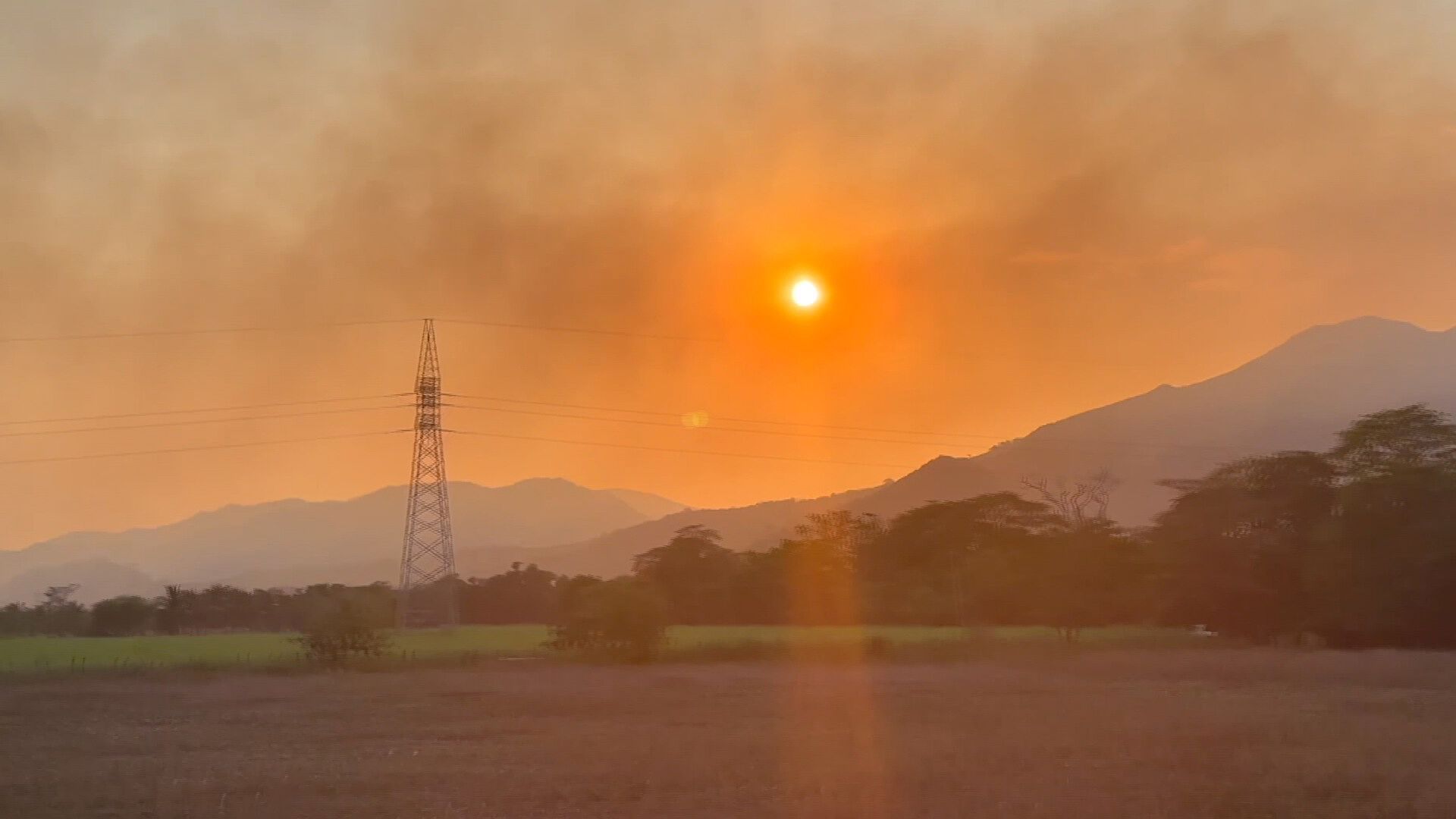 Reportan 73 incendios Forestales en Veracruz Durante esta Temporada
