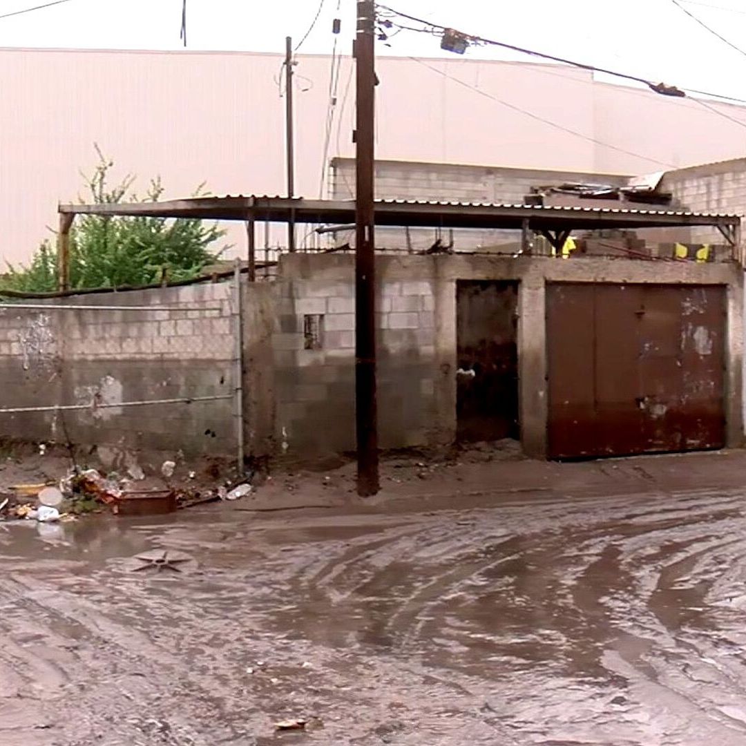 Las Noticias de las 10:00 hrs