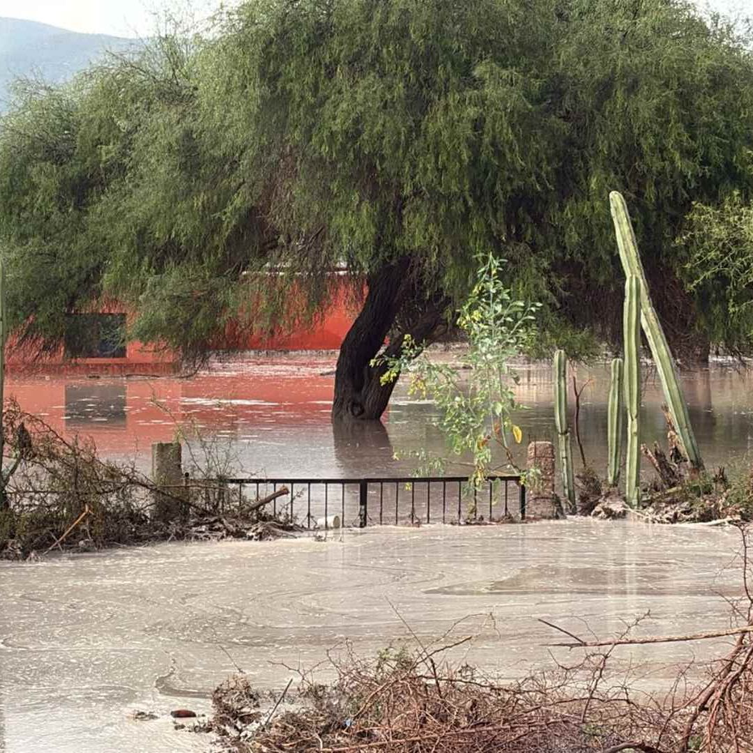 Lluvias Mier y Noriega