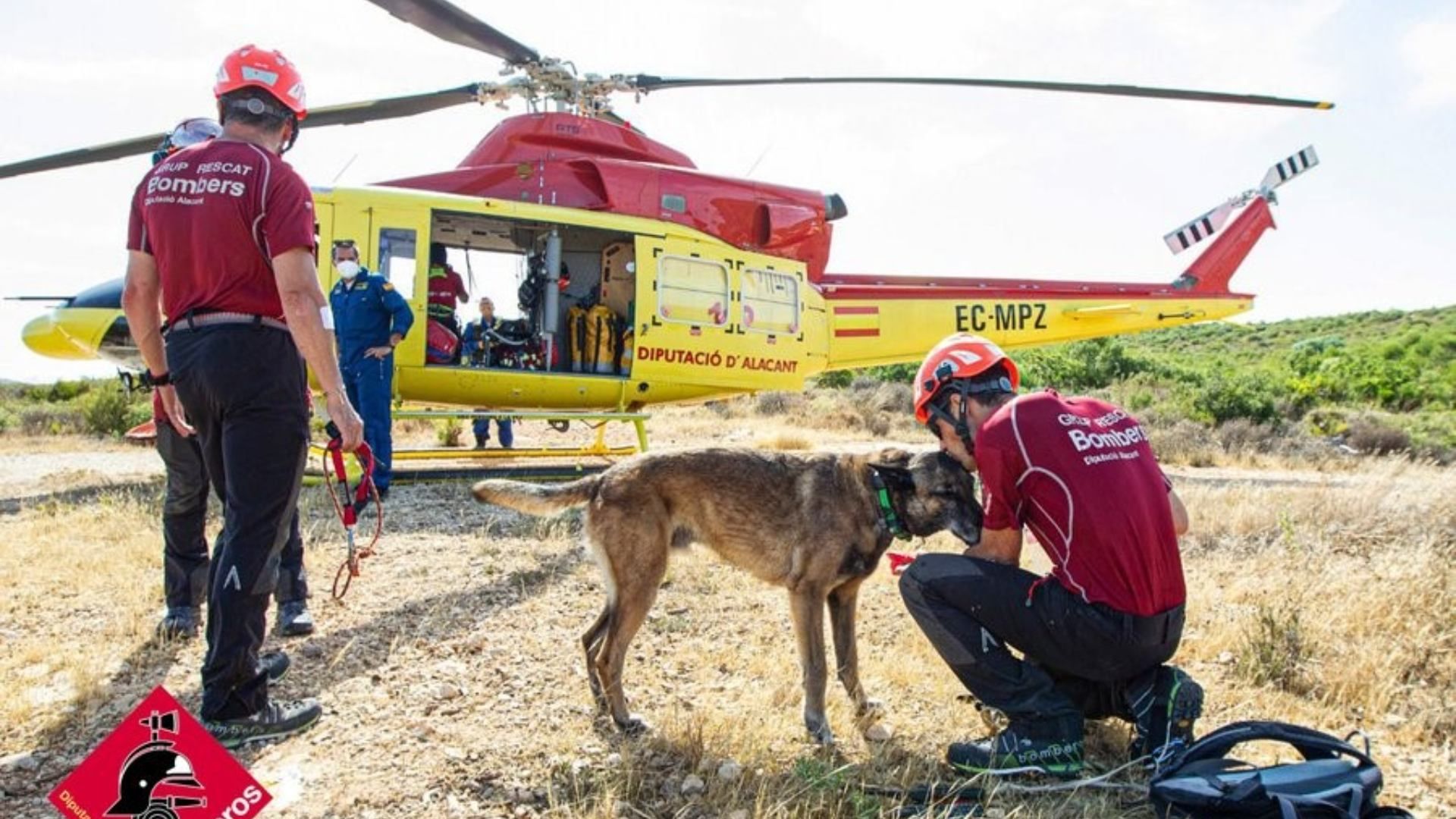 Muere Titán, el perro rescatista que ayudó a encontrar sobrevivientes en Turquía.