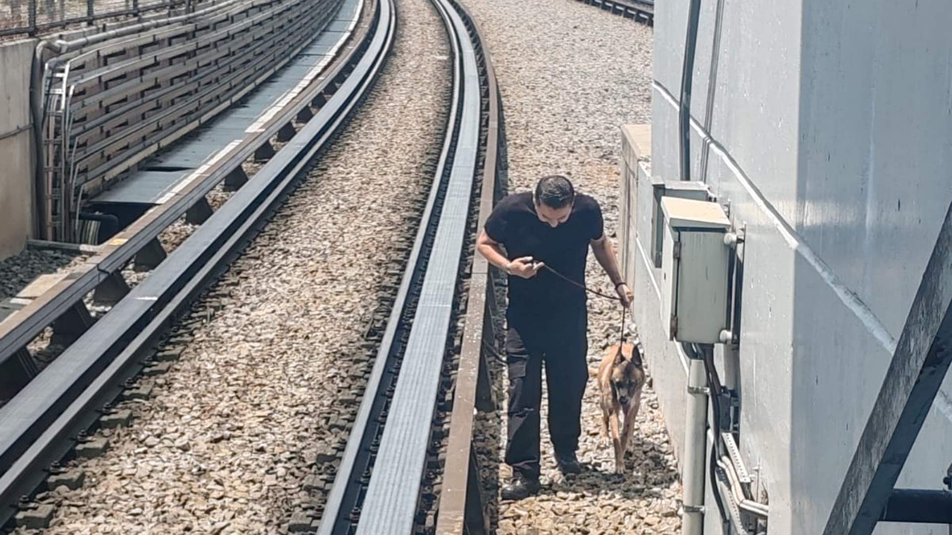 Hombre rescata a perro en zona de vías del Metro CDMX el 15 de abril de 2026.