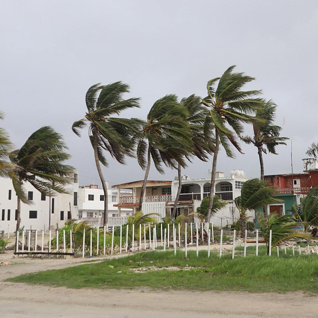 Viento en Yucatán en julio 2024 ante el paso de la tormenta tropical Beryl. Foto: Cuartoscuro | Archivo